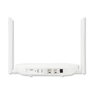 AP1300 4G LTE Enterprise Wireless Access Point